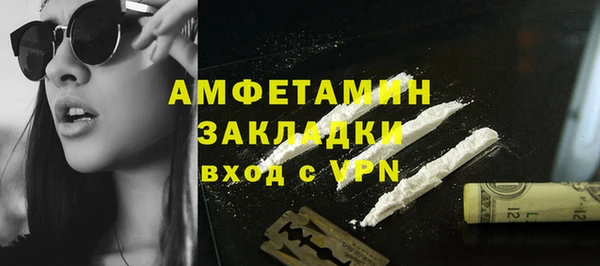 сатива Волоколамск