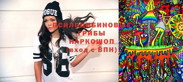 сатива Волоколамск