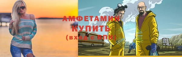 сатива Волоколамск