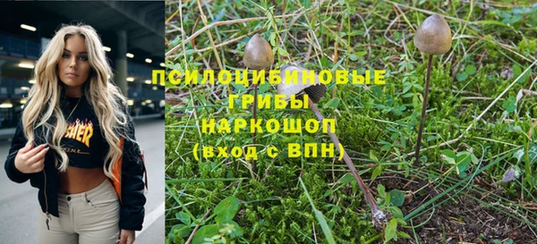 сатива Волоколамск