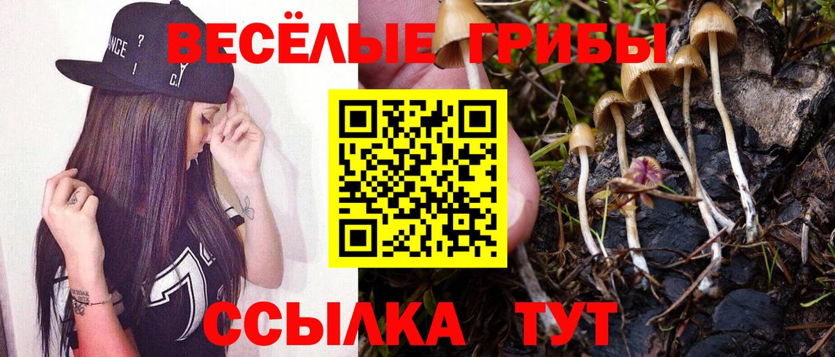 Галлюциногенные грибы Psilocybe  Галлюциногенные грибы MAGIC MUSHROOMS  Снежинск  дарнет шоп  Вход с VPN 