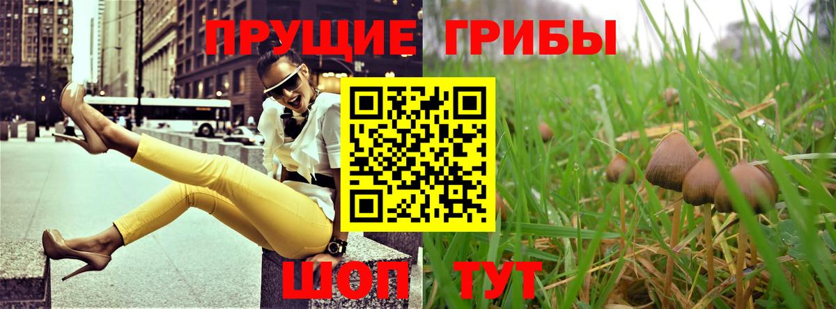 Псилоцибиновые грибы Psilocybine cubensis Снежинск